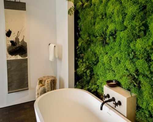 Оформление ванной комнаты растениями